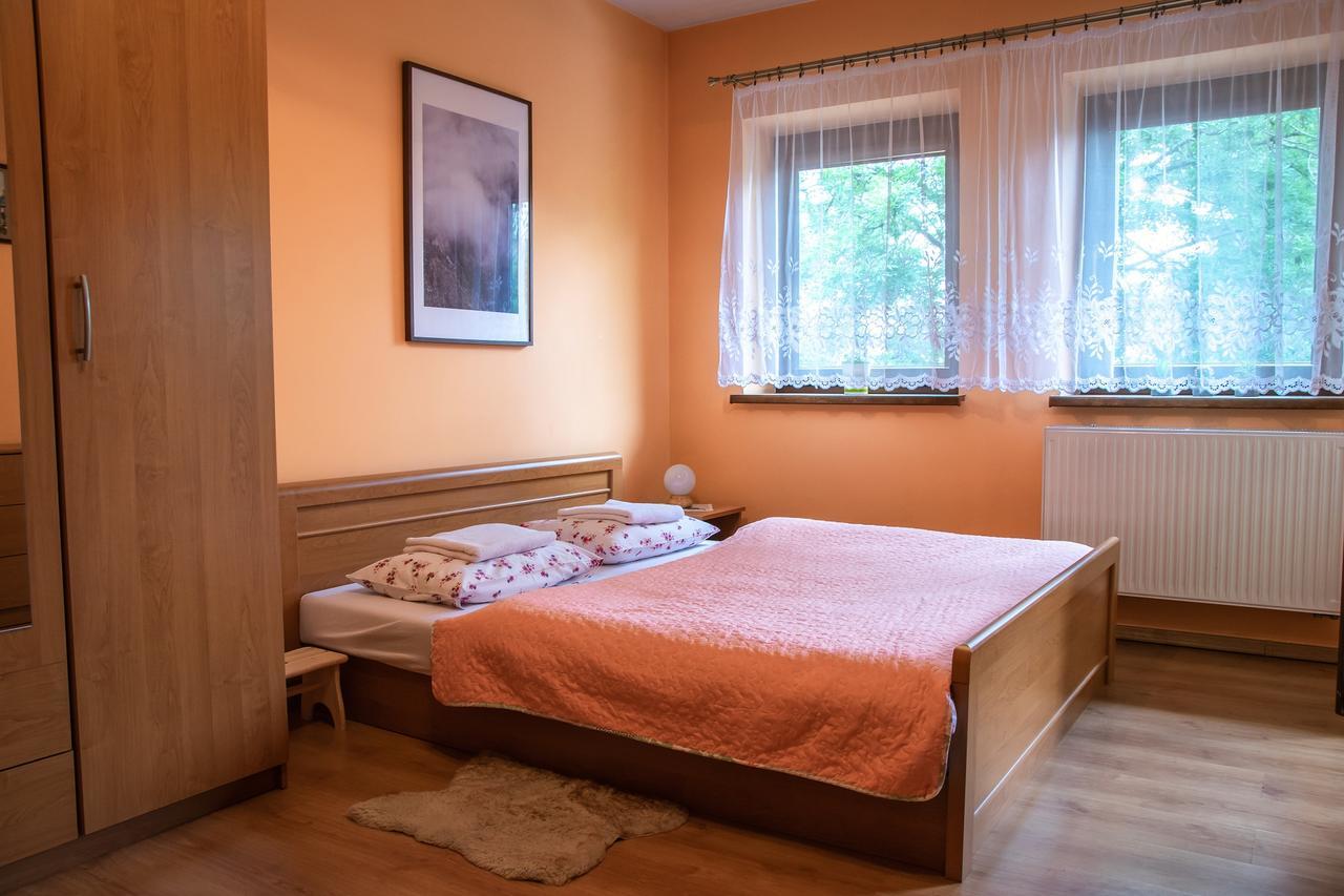 Apartament Domino - Krzeptowki 06 Zakopane Extérieur photo