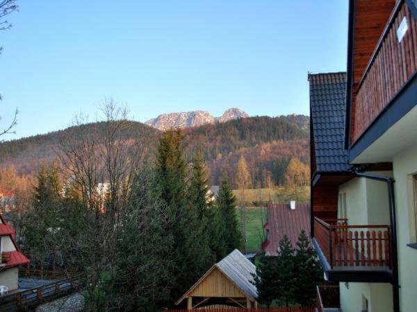 Apartament Domino - Krzeptowki 06 Zakopane Extérieur photo